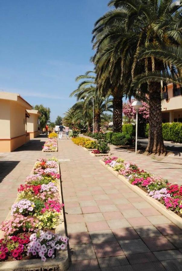 Hotel Summer Day Village Santa Maria Del Cedro Esterno foto